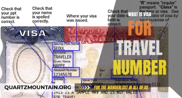 Understanding the Visa for Travel Number: Everything You Need to Know