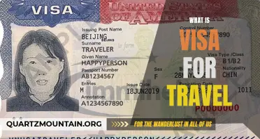 Understanding the Importance of a Visa for Travel
