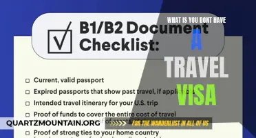 Exploring the World: What to Do If You Don't Have a Travel Visa