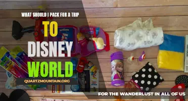 Essential Packing Guide for a Trip to Disney World