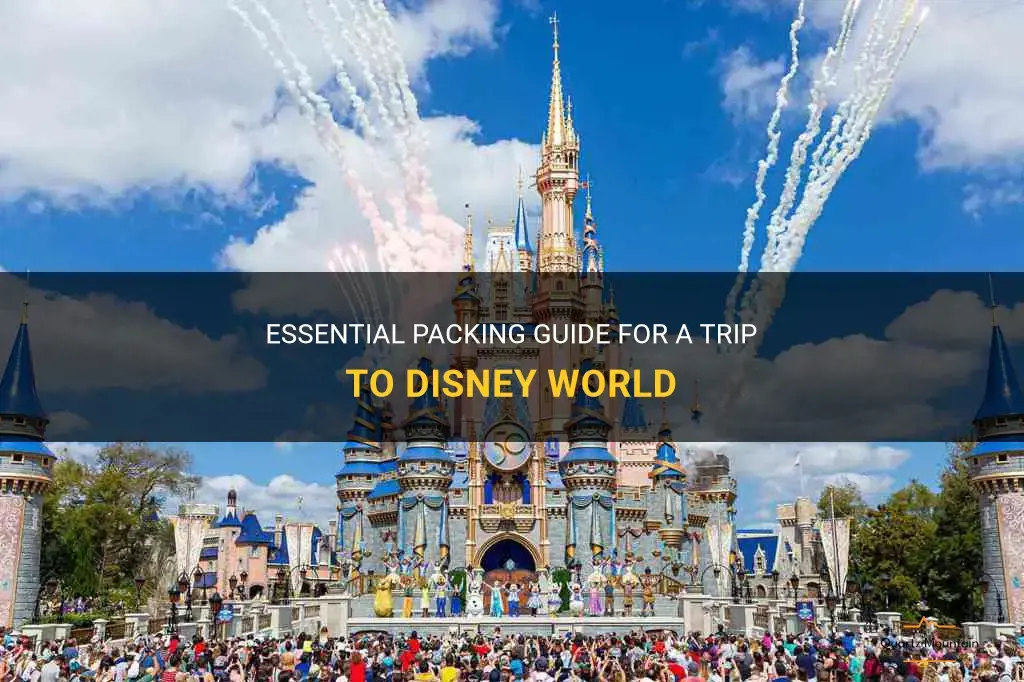what should I pack for a trip to disney world