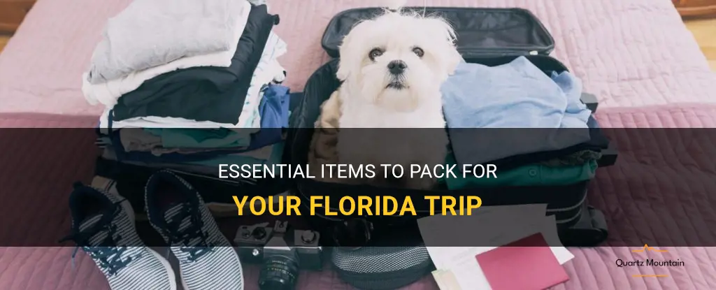 what should I pack for a trip to florida