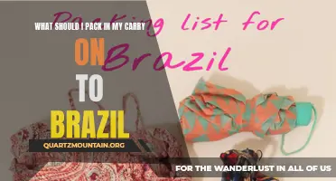 Essential Items to Pack in Your Carry-On for Your Trip to Brazil