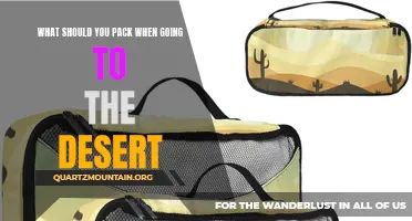 Essential Items to Pack for Your Desert Adventure