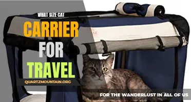 Choosing the Perfect Size Cat Carrier for Travel: A Guide for Pet Owners