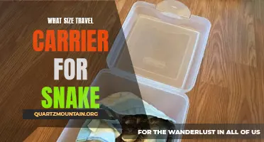 Choosing the Right Size Travel Carrier for Your Snake