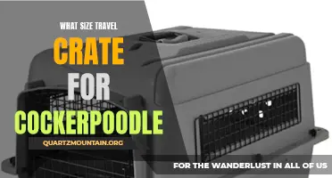 Finding the Perfect Size Travel Crate for Your Cockerpoodle
