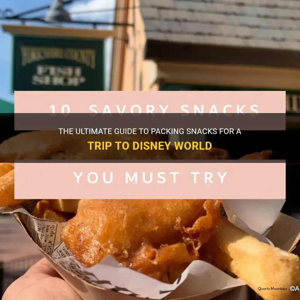 what snacks to pack for disney world