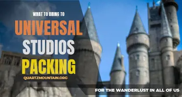 Essential Items to Pack for a Memorable Trip to Universal Studios