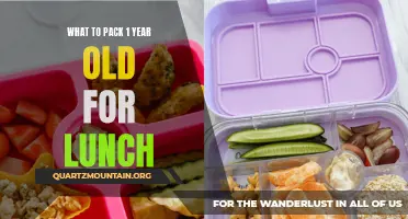 The Essential Guide to Packing a Nutritious Lunch for Your One-Year-Old