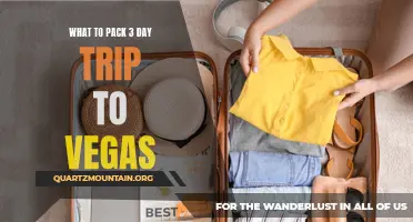 Essential Items to Pack for a Three-Day Trip to Las Vegas