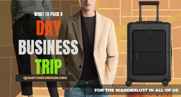 Essentials to Pack for Your 4-Day Business Trip