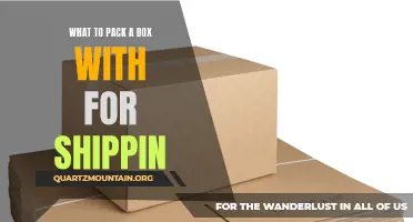 Essential Items for Packing a Shipping Box: A Comprehensive Guide
