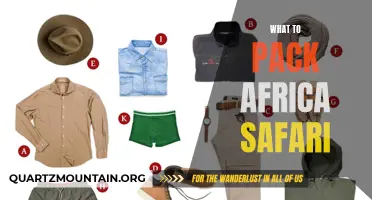 Essential Items to Pack for an Unforgettable African Safari