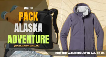 Essential Items to Pack for an Alaska Adventure