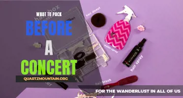 Essential Items to Pack Before Attending a Concert