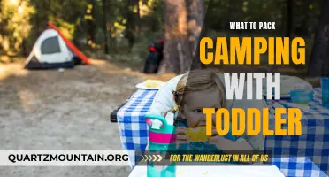 Essential Items to Pack for Camping with a Toddler