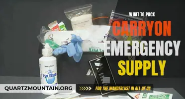 Essential Items to Include in Your Carry-On Emergency Supply Kit