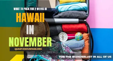 The Essential Packing Guide for Two Weeks in Hawaii in November