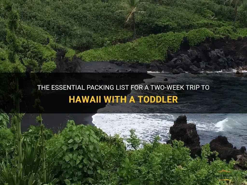 what to pack for 2 weeks in hawaii with toddler