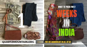 Essential Items to Pack for a Two-Week Trip to India
