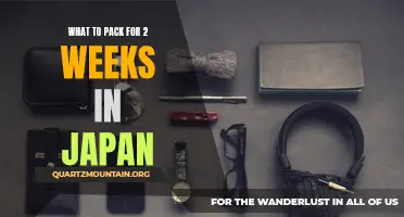 Essential Items to Pack for a Two-Week Trip to Japan