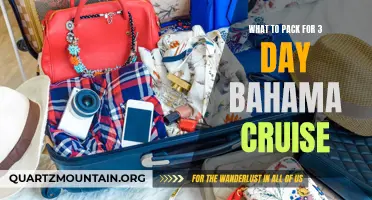 Essential Items for a Memorable 3-Day Bahama Cruise