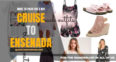 Essential Items to Pack for a Memorable 3-Day Cruise to Ensenada