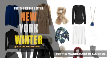 Essential Items to Pack for a Three-Day Winter Trip in New York City