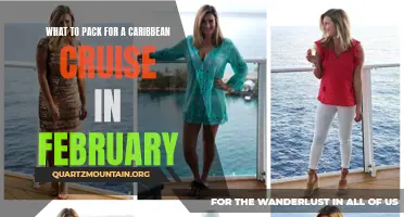 Essential Items to Pack for a Caribbean Cruise in February