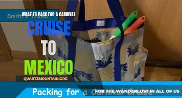 The Essential Packing Guide for a Memorable Carnival Cruise to Mexico