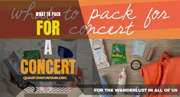 Essential Items to Pack for a Memorable Concert Experience