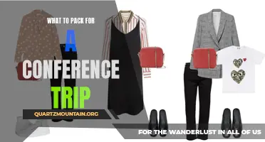 Essential Tips for Packing for a Conference Trip