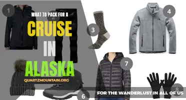 Essential Items to Pack for a Cruise Adventure in Alaska