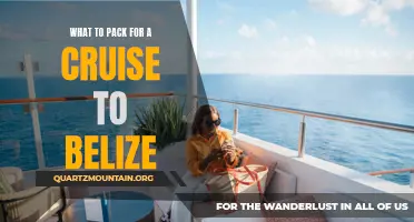 Essential Items to Pack for an Unforgettable Cruise to Belize