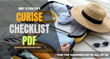 What to Include in Your Comprehensive Cruise Packing Checklist PDF