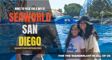 Essential Items to Pack for a Memorable Day at SeaWorld San Diego