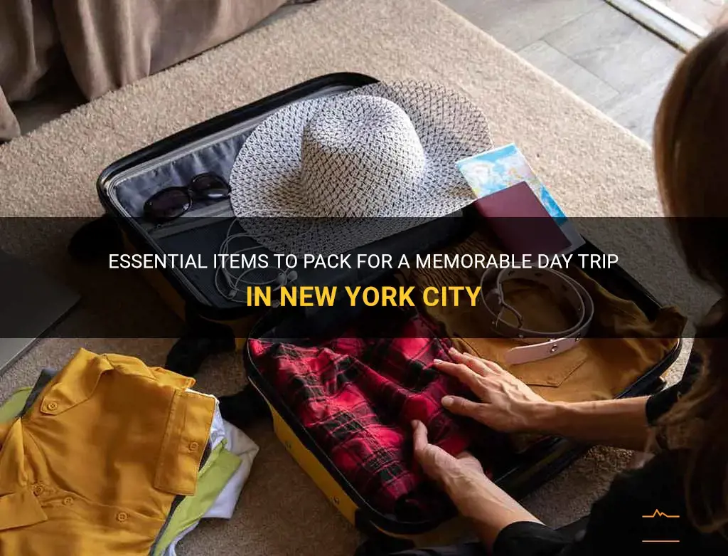 what to pack for a day trip in to newyork