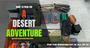 Essential Items to Pack for a Memorable Desert Adventure