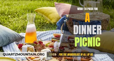 Essential Items for a Perfect Dinner Picnic Under the Stars