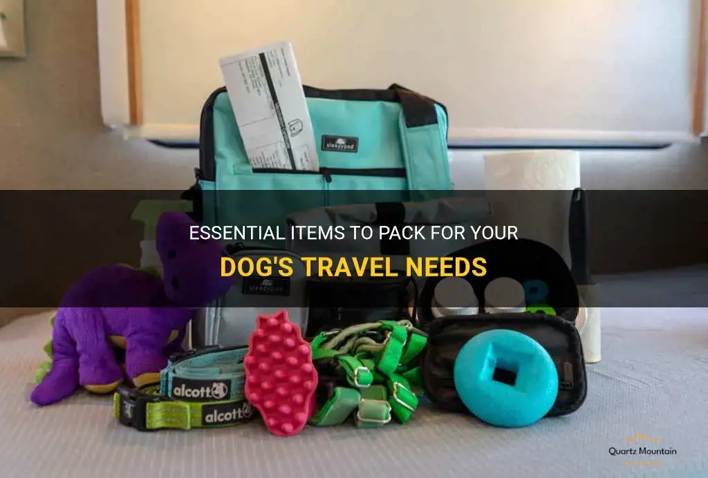 what to pack for a dog