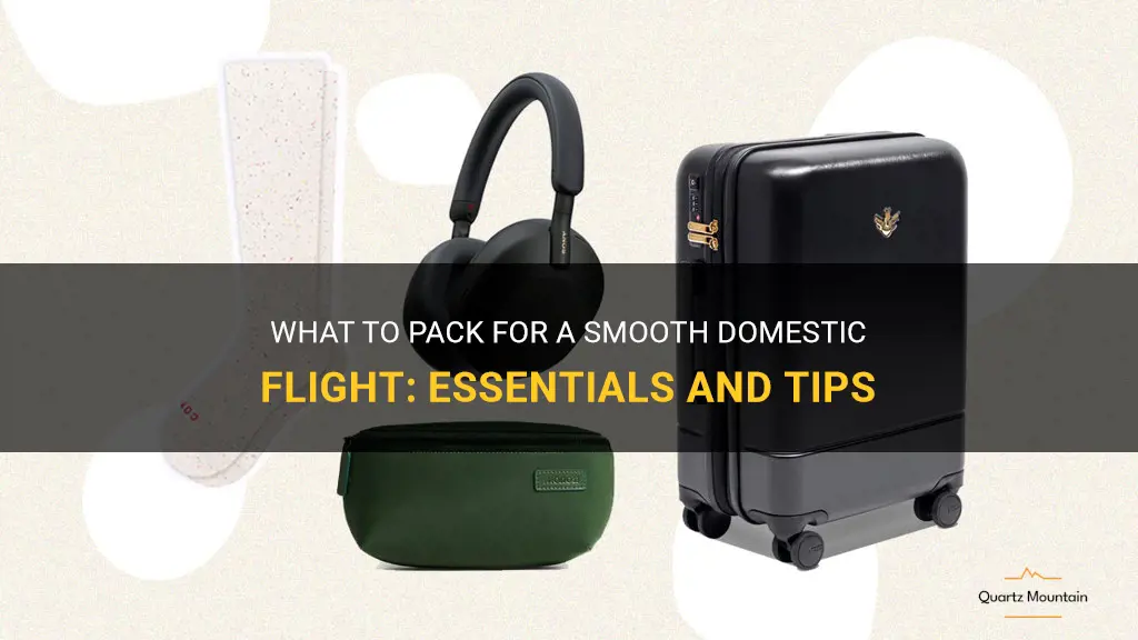 what to pack for a domestic flight
