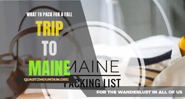 Essential Items to Pack for a Memorable Fall Trip to Maine