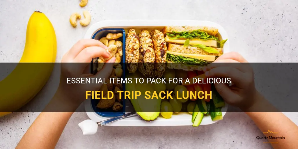 what to pack for a field trip sack lunch