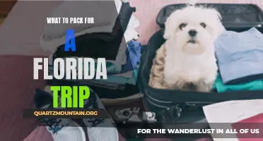 Essential Items to Pack for a Memorable Florida Trip