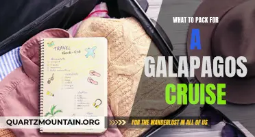 Essential Items to Pack for a Galapagos Cruise