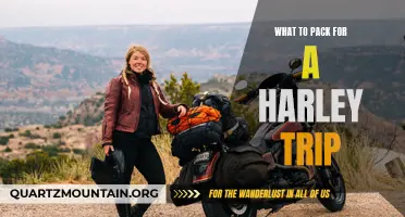 Essential Gear for an Unforgettable Harley Adventure: What to Pack for Your Trip