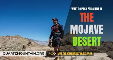 Essential Gear: What to Pack for a Hike in the Mojave Desert