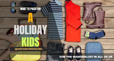 Essential Items to Pack for a Memorable Holiday with Kids