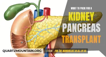 Packing Essentials for a Successful Kidney Pancreas Transplant